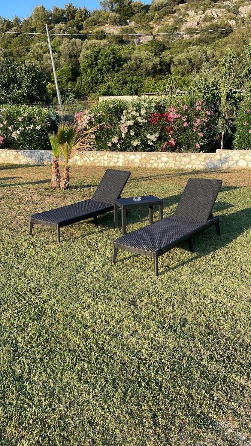 Villa Angela Case Vacanza Vieste Dış mekan fotoğraf