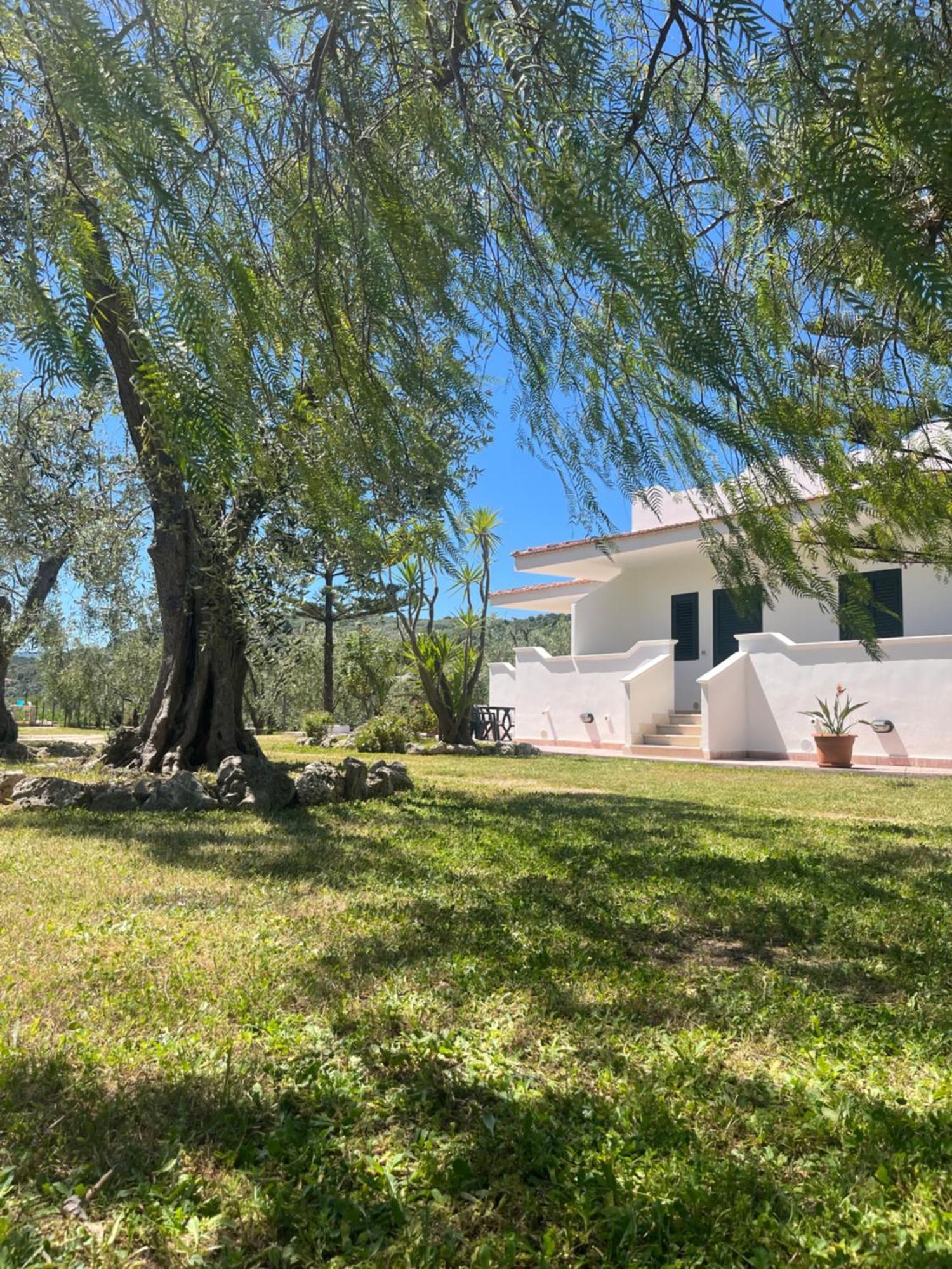 Villa Angela Case Vacanza Vieste Dış mekan fotoğraf